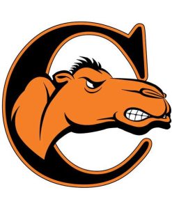 Campbell Fighting Camels Cornhole Boards