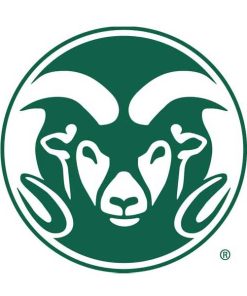Colorado State Rams Cornhole Boards