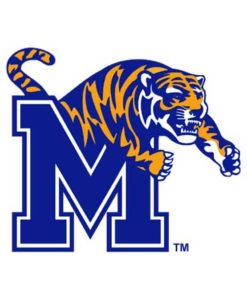 Memphis Tigers Cornhole Boards
