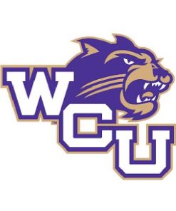 Western Carolina Catamounts Cornhole Boards