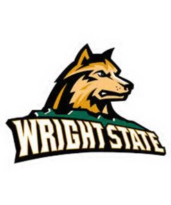 Wright State Raiders Cornhole Boards